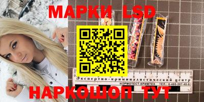 PSILOCYBIN Малоярославец