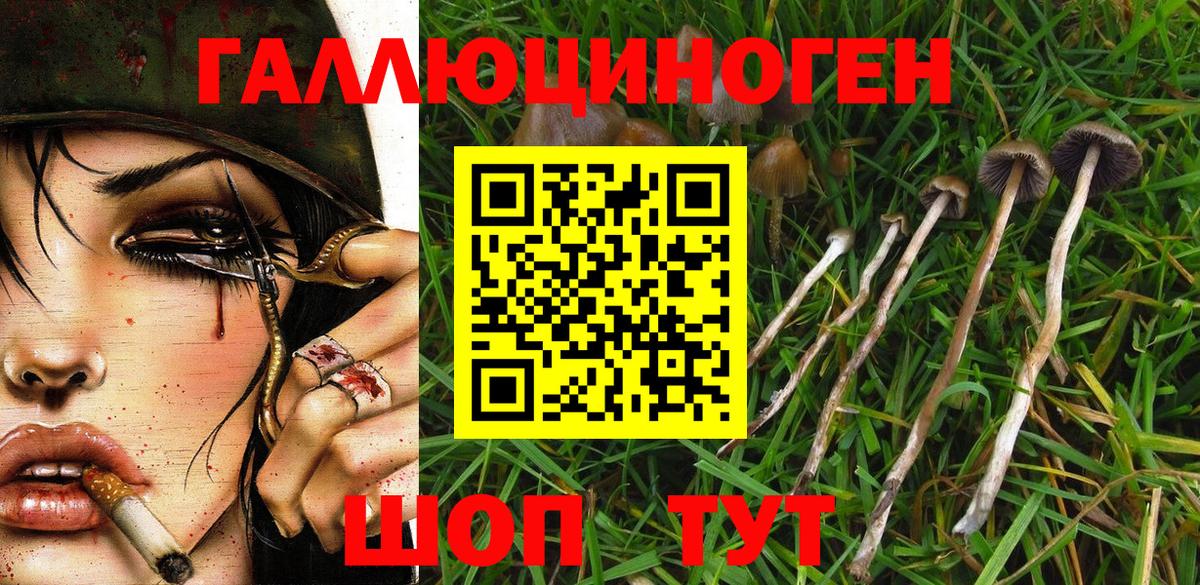 Псилоцибиновые грибы MAGIC MUSHROOMS Уссурийск